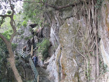 ພູຊ້າງນະຄອນ ຮາຍຟ່ອງ